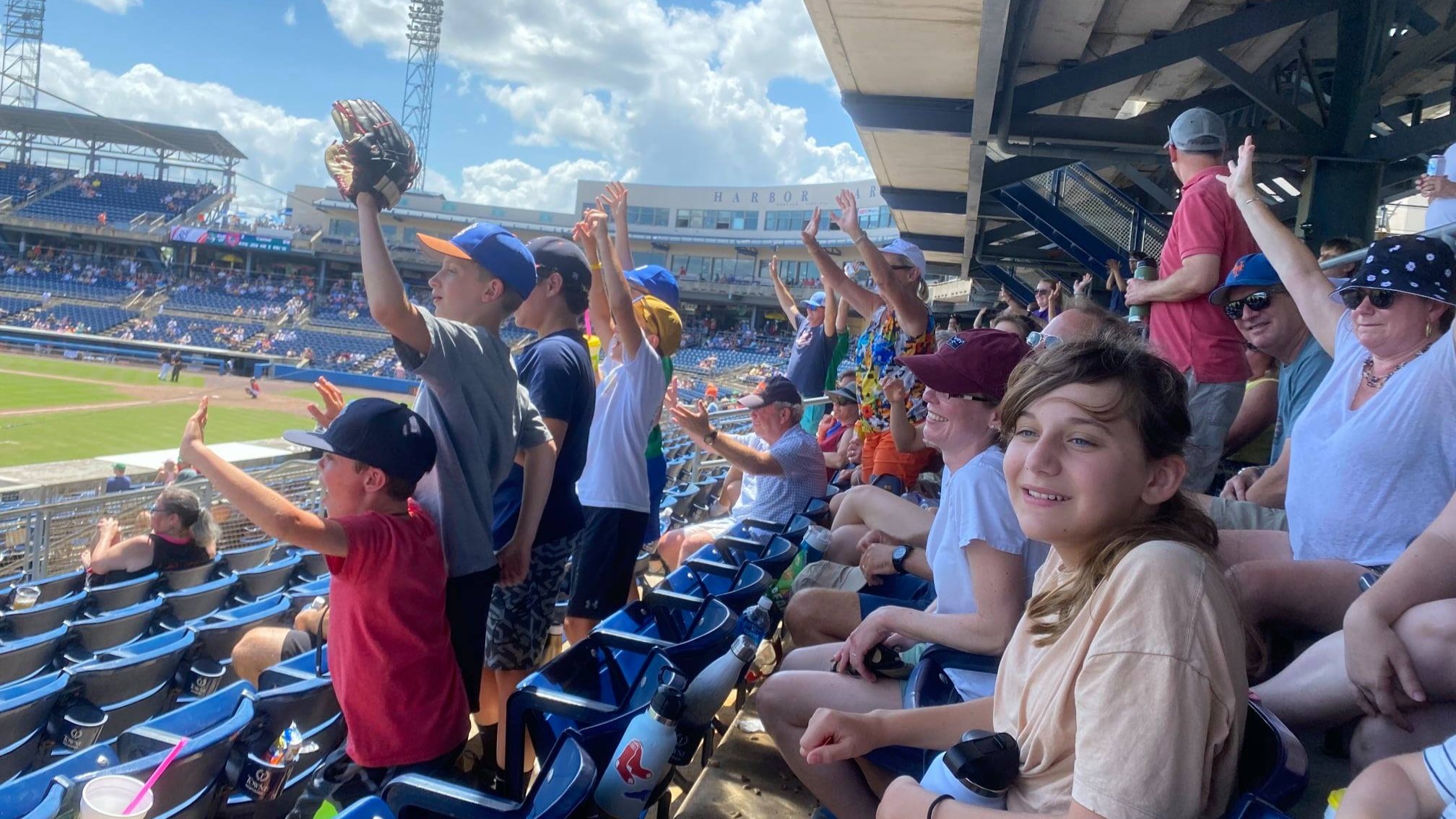 fans at baseball stadium